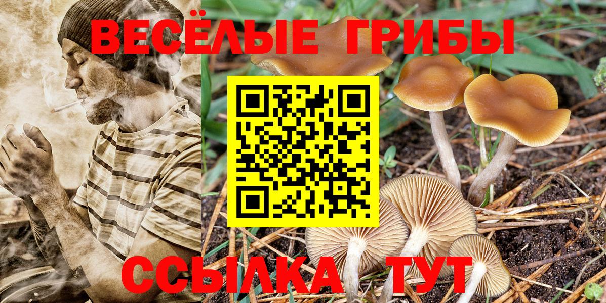 Менделеевск  где купить наркоту  Вход с VPN  Галлюциногенные грибы мухоморы 